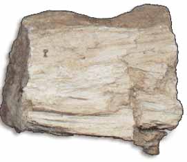 amianto minerale
